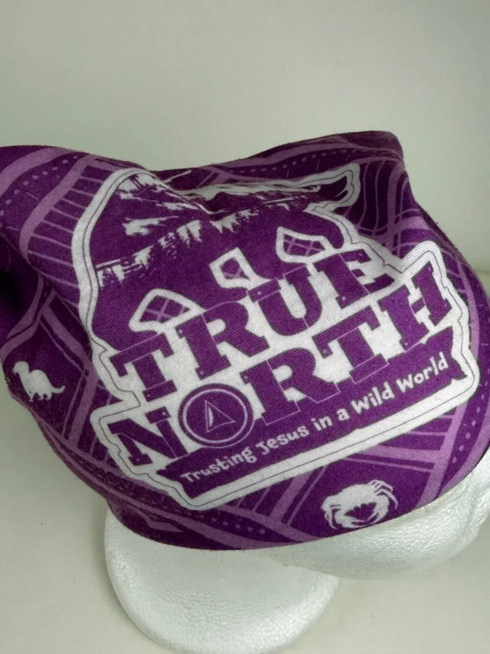 True North Trusting Jesus in a Wild World Purple Tube Bandana Scarf Headwear
